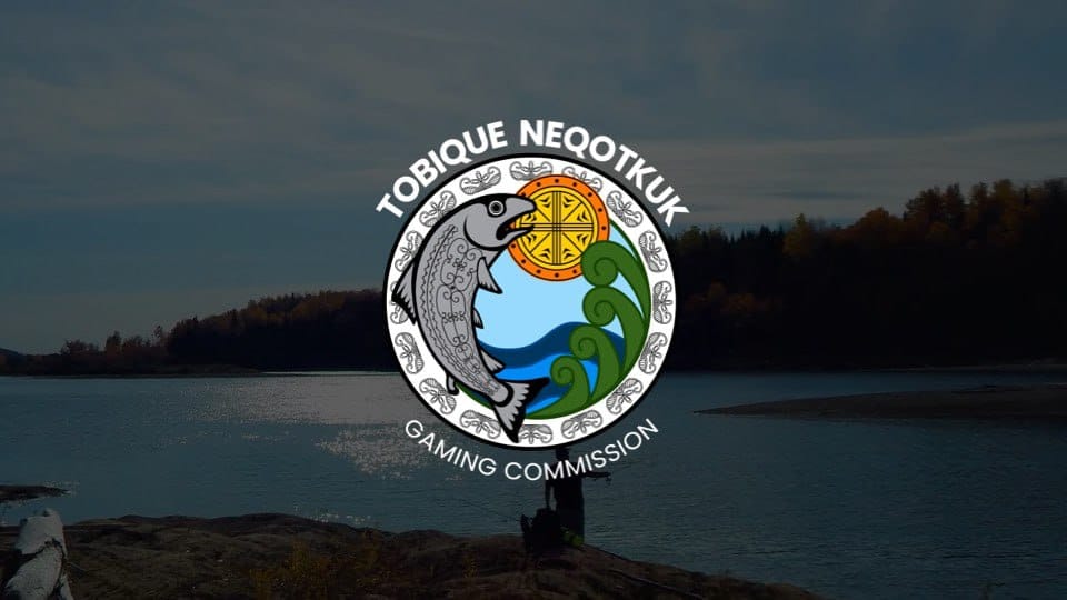 🇨🇦 Игровая лицензия Тобик – €53 100, до 4 месяцев реализация